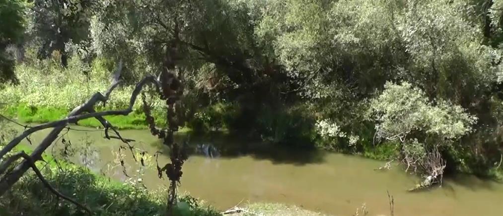 Βαλκάνια: Σημαντική μείωση καταγράφουν τα φυσικά ποτάμια και οι ελεύθερες ποτάμιες διαδρομές  μέσα σε 13 χρόνια